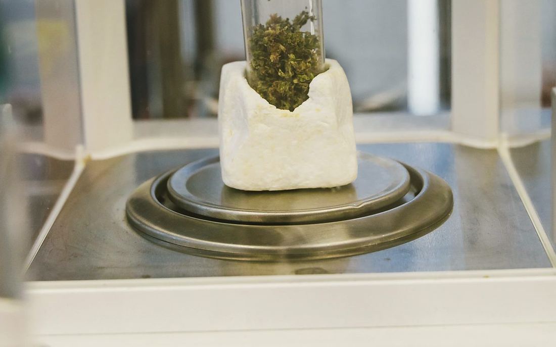 Analytical balance weighing a raw material to four decimal places